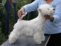 /album/barbelle-natalica/barbelle-natalica-jpg/